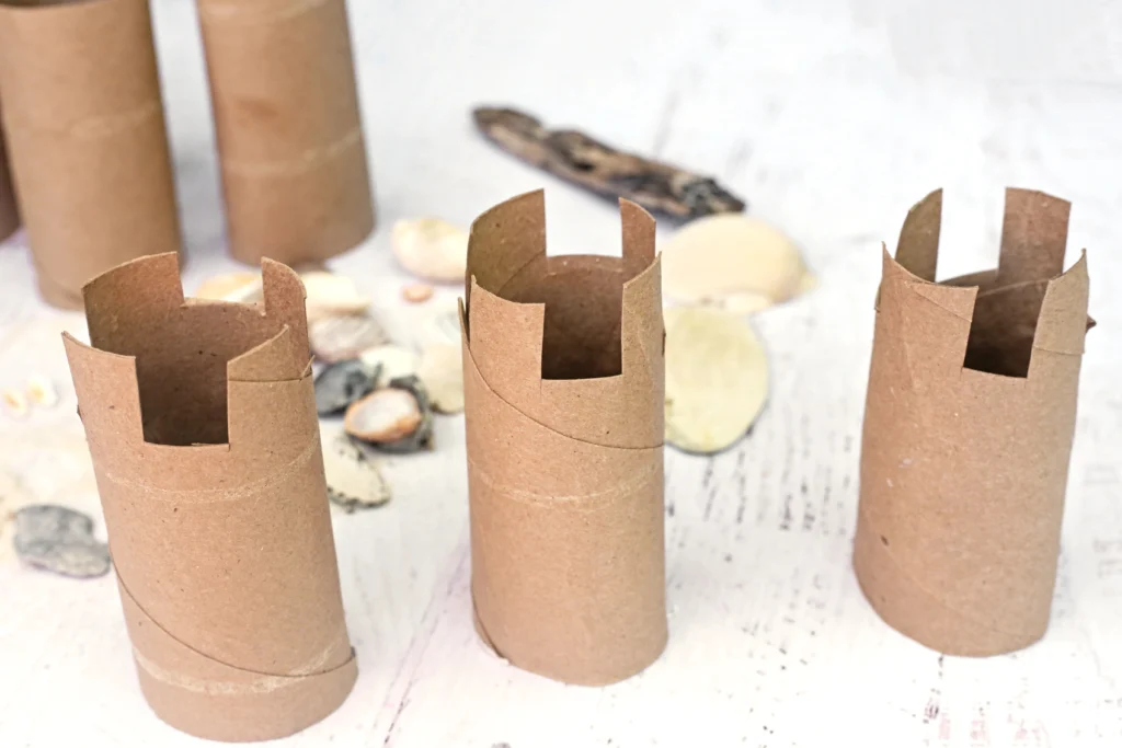 Rows of brown cardboard tubes with notch-cut tops standing upright on a light wooden surface, shells scattered in the background.