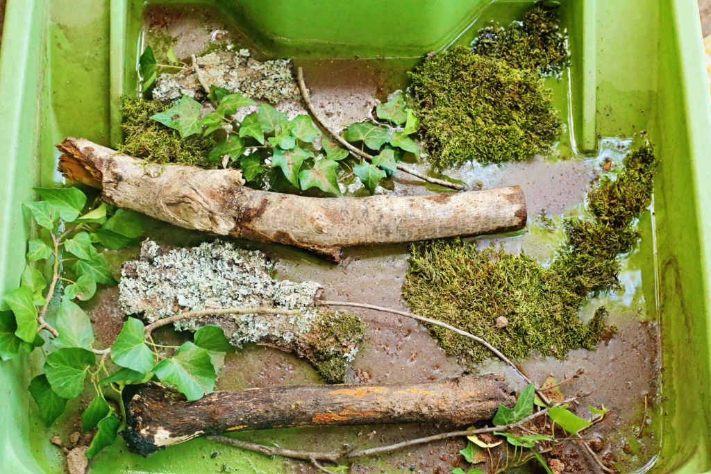 Dinosaur Swamp Water Table - Cultivating Brilliant Minds Green plastic tub filled with moss, ivy vines, fallen wood, and damp soil debris.