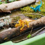 Two plastic dinosaurs on a mossy log in a garden; yellow triceratops in front and a blue dinosaur behind.