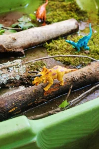 Two plastic dinosaurs on a mossy log in a garden; yellow triceratops in front and a blue dinosaur behind.