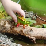 Child’s hand picking up a green and orange toy dinosaur from a log in a forest setting in a water table activity