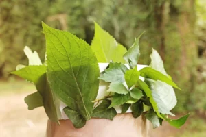 a leaf crown on top of a kids head