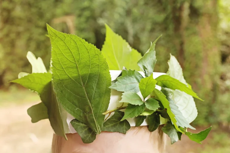 a leaf crown on top of a kids head