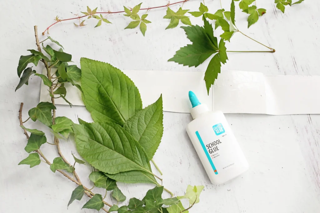 Leaf Crown - Cultivating Brilliant Minds supplies for the leaf crowns - Green plant cuttings and leaves arranged on a pale wooden surface with a white glue bottle (blue cap) nearby for crafts.