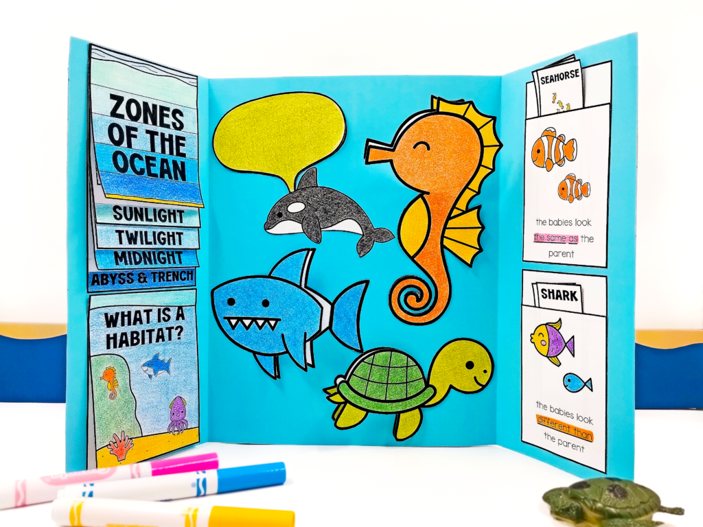 KEEP OCEAN HABITAT LAPBOOK - Cultivating Brilliant Minds Open children's pop-up book about ocean zones showing a 'Zones of the Ocean' panel, sea creatures, and habitat text panels.