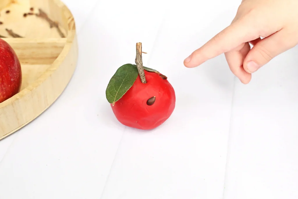 Red playdough apple with a small twig through the stem on a white surface, a hand reaching toward it nearby.