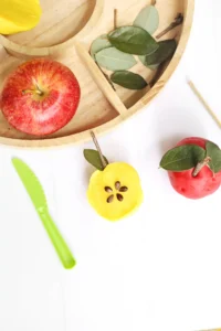 a Parts of an Apple Playdough Tray that uses playdough apple seeds, sticks, and leaves to create playdough apples