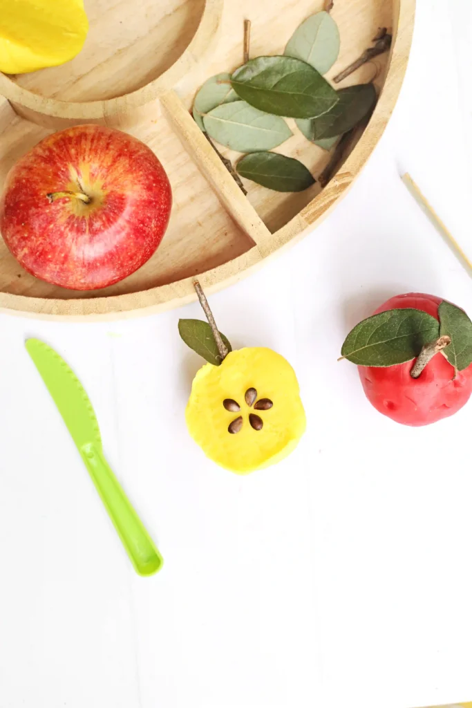 a Parts of an Apple Playdough Tray that uses playdough apple seeds, sticks, and leaves to create playdough apples