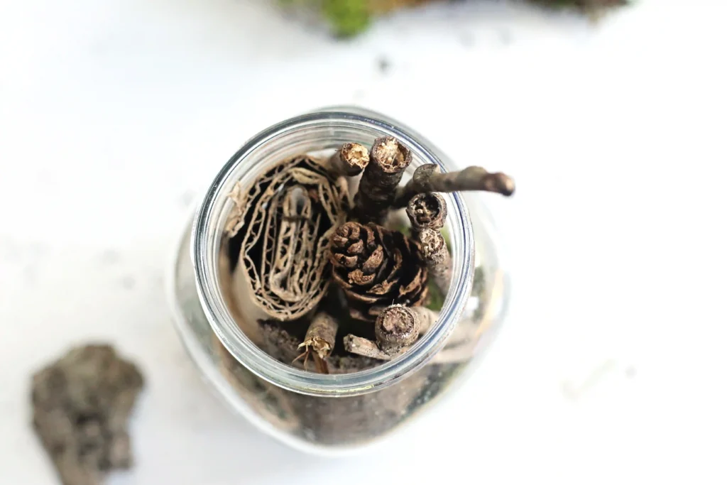 Top-down view of a glass jar filled with dried pinecones and twigs.