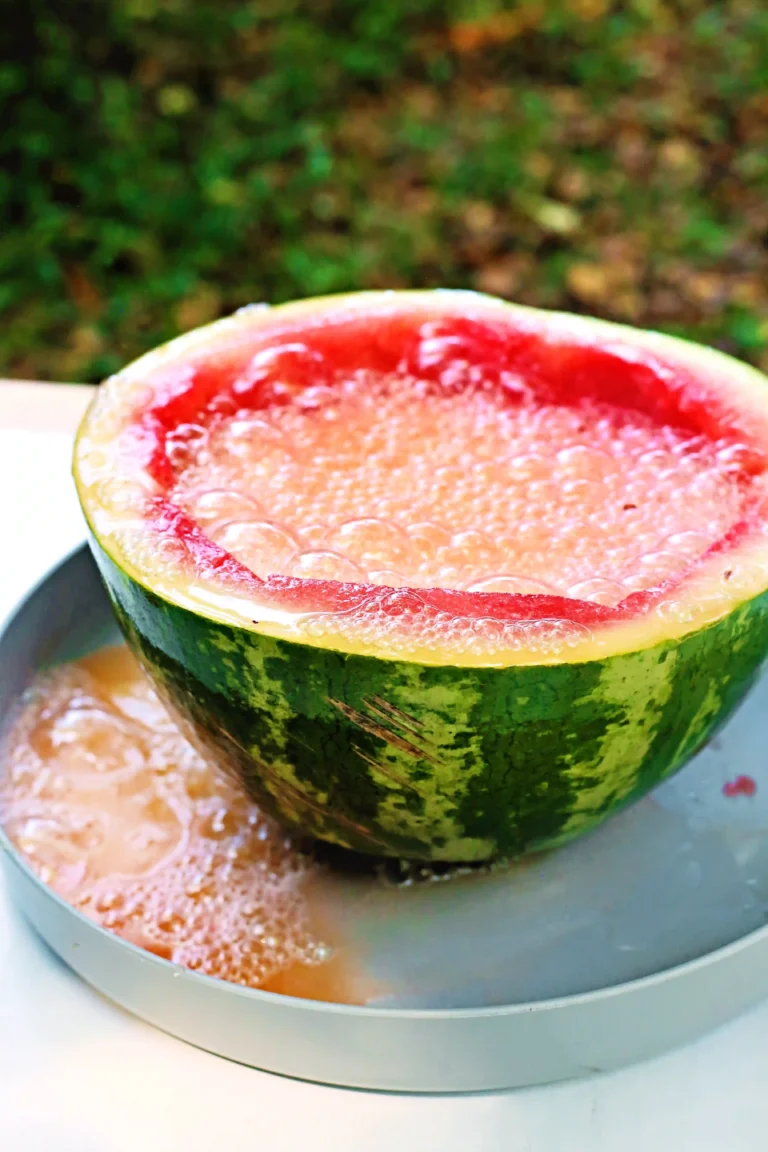 a watermelon volcano with baking soda and vinegar