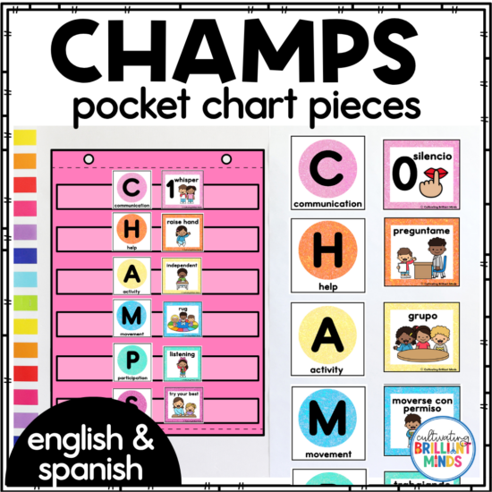 champs posters for classroom management