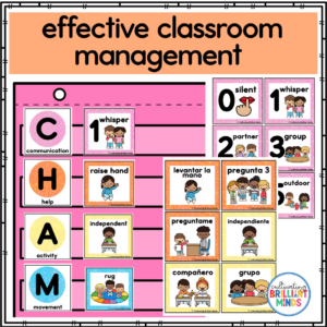 champs posters for classroom management