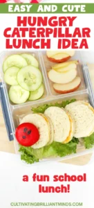 a Very Hungry Caterpillar Lunch Box Idea that us sandwiches and babybel cheese on a bed of lettuce to look like a caterpillar