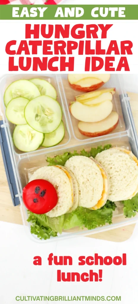 Very Hungry Caterpillar Lunch Box Idea - Cultivating Brilliant Minds a Very Hungry Caterpillar Lunch Box Idea that us sandwiches and babybel cheese on a bed of lettuce to look like a caterpillar