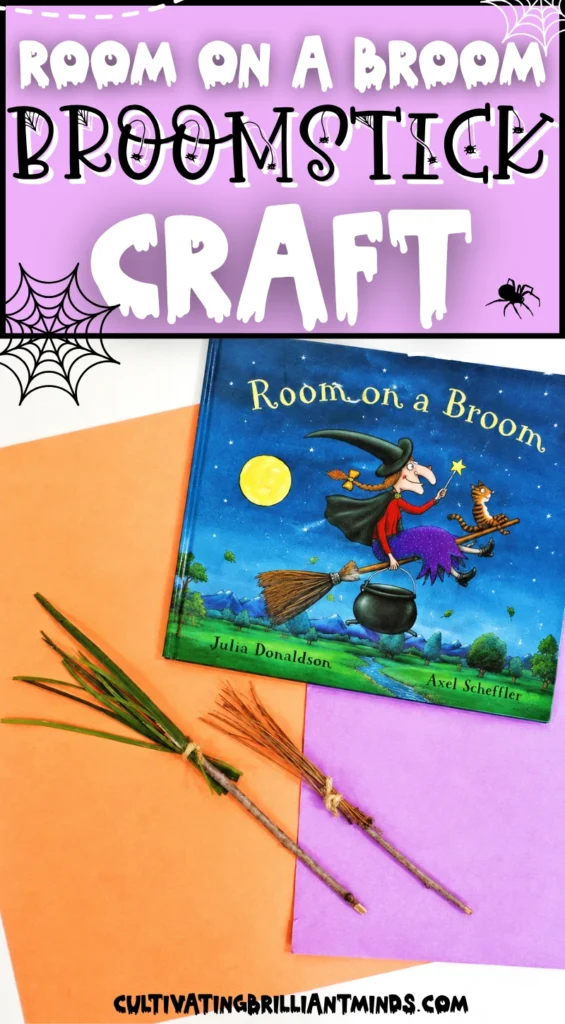 Cover of the children's book 'Room on the Broom' featuring a witch riding a broom with a cauldron and a cat against a starry night sky and moon.