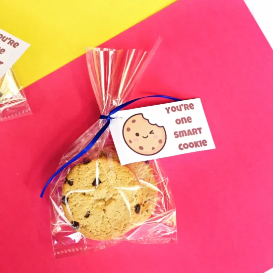 Clear plastic bag containing a chocolate chip cookie, tied with a blue ribbon, and a tag that says "YOU'RE one SMART COOKIE" against a bright pink and yellow background.