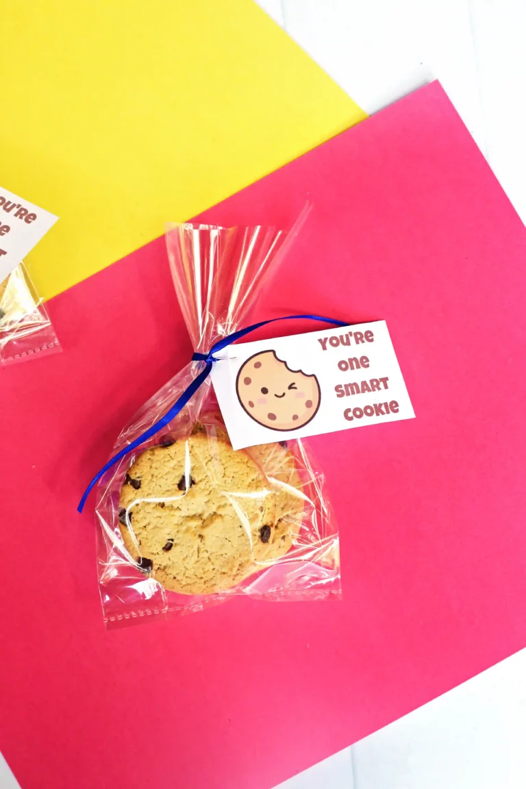 Clear plastic bag containing a chocolate chip cookie, tied with a blue ribbon, and a tag that says "YOU'RE one SMART COOKIE" against a bright pink and yellow background.