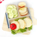 a Very Hungry Caterpillar Lunch Box Idea that us sandwiches and babybel cheese on a bed of lettuce to look like a caterpillar