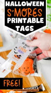 Promo image for Halloween s'mores printable tags; a hand holds a bag of treats with a Halloween tag, over a bold black banner that reads HALLOWEEN S'MORES PRINTABLE TAGS, and a 'FREE!' label at the bottom.