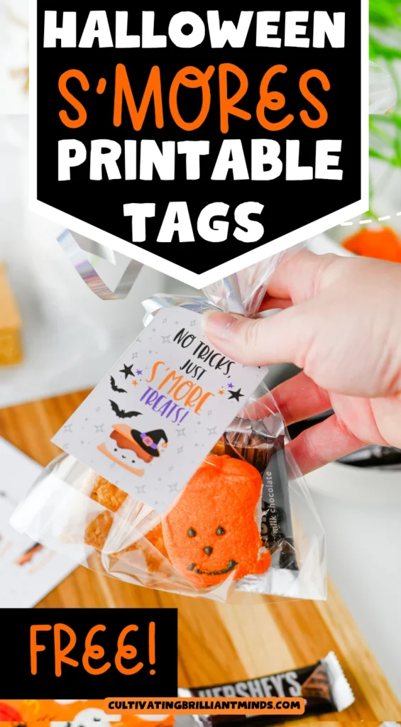 Halloween S'mores Treat Bags - Cultivating Brilliant Minds Halloween S'mores Treat Bags on a wooden board