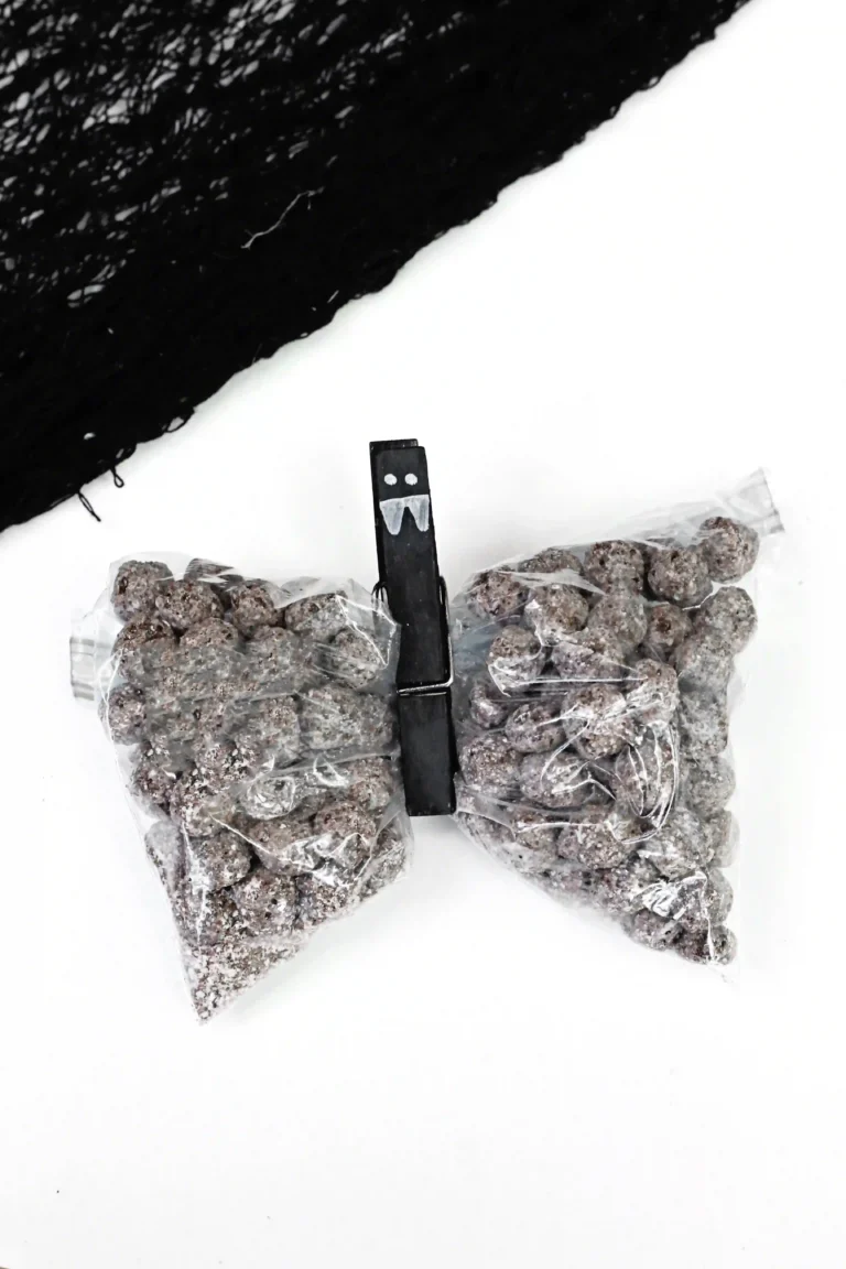 snack bags filled with chocolate cereal with a clothespin to look like a bat