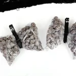 snack bags filled with chocolate cereal with a clothespin to look like a bat