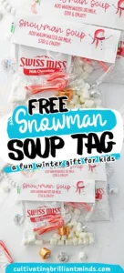 Swiss Miss hot cocoa packets labeled 'Snowman Soup' with marshmallows and candy canes on a white surface.