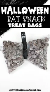 snack bags filled with chocolate cereal with a clothespin to look like a bat