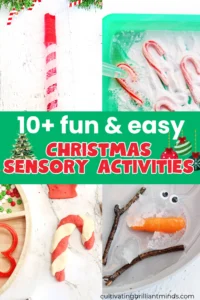 a collage of Christmas Sensory Activities