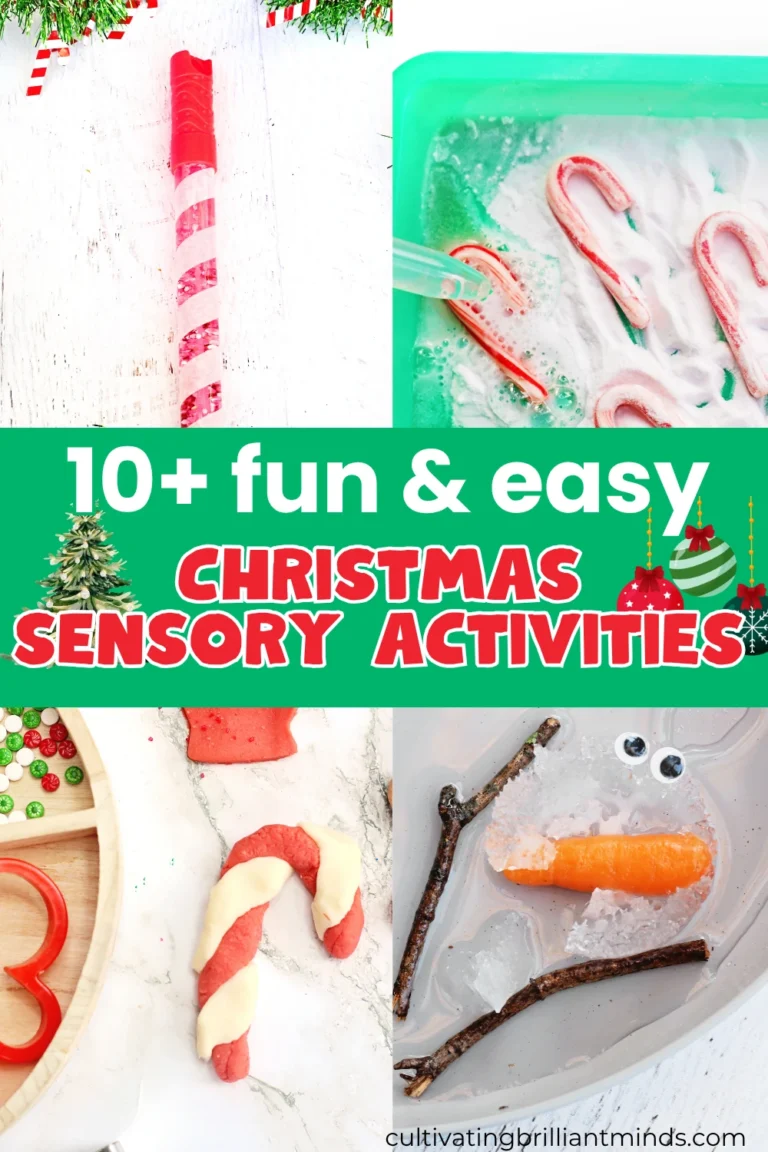 a collage of Christmas Sensory Activities