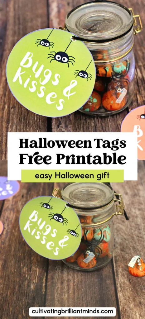 a jar with toys spiders and candy with a tag that says bugs and kisses