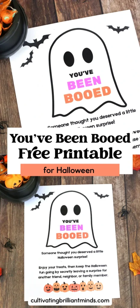 Halloween-themed flyer with a ghost outline and the phrase'YOU'VE BEEN BOOED' in colorful letters, surrounded by pumpkins and bats on a wooden surface.